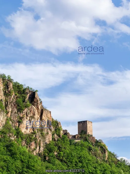 : Neuhaus Castle or Maultasch Castle, near : Neuhaus Castle or Maultasch Castle, near