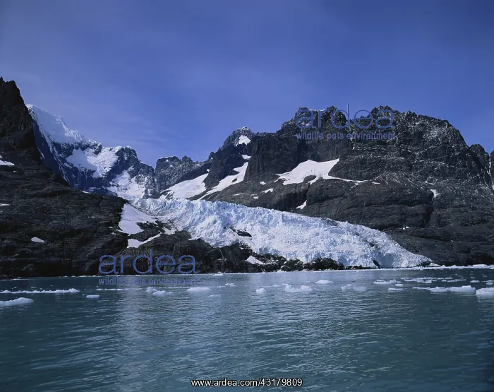 : Neumayer Glacier : Neumayer Glacier