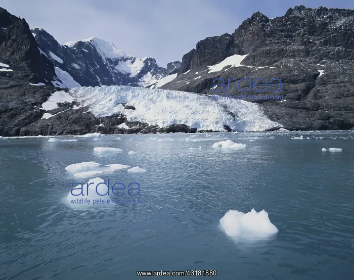 : Neumayer Glacier : Neumayer Glacier