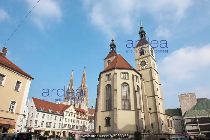 : The Neupfarrkirche protestant church Regensburg : The Neupfarrkirche protestant church Regensburg