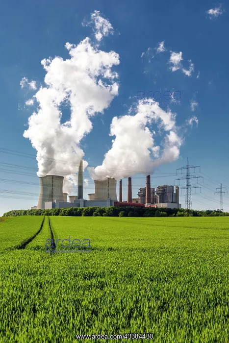 : Neurath lignite-fired power plant in the Rhenish : Neurath lignite-fired power plant in the Rhenish