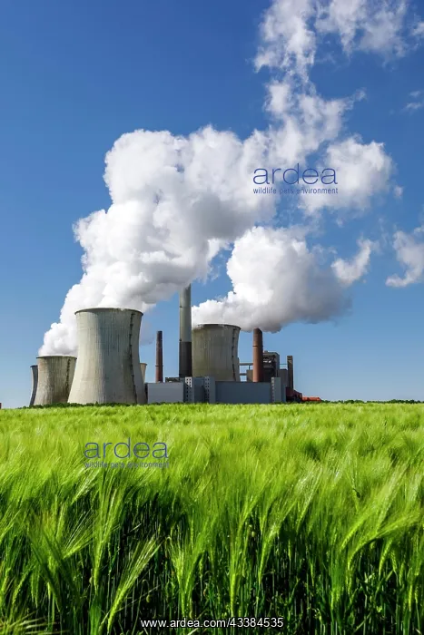 : Neurath lignite-fired power plant in the Rhenish : Neurath lignite-fired power plant in the Rhenish