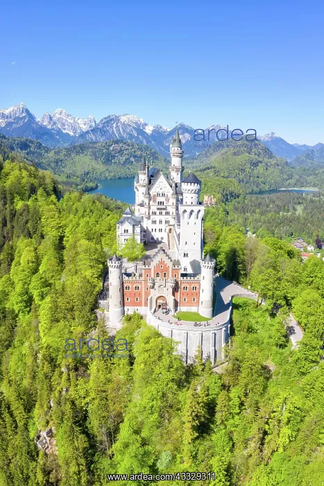 : Neuschwanstein Castle Aerial View with Alps Land : Neuschwanstein Castle Aerial View with Alps Land