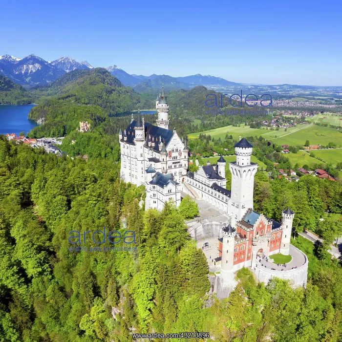 : Neuschwanstein Castle Aerial View Architecture Alps : Neuschwanstein Castle Aerial View Architecture Alps