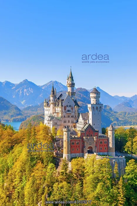  : Neuschwanstein Castle in autumn, Alpsee behind