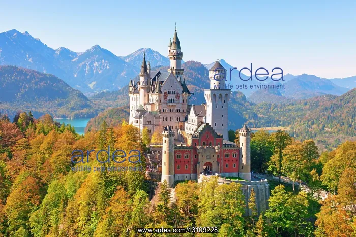: Neuschwanstein Castle in autumn, Alpsee behind : Neuschwanstein Castle in autumn, Alpsee behind
