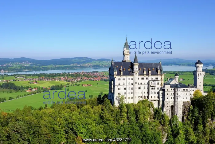 : Neuschwanstein Castle, in the back Forggensee, Schwangau : Neuschwanstein Castle, in the back Forggensee, Schwangau