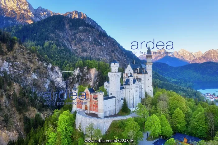 : Neuschwanstein Castle, Marienbracke, near Schwangau : Neuschwanstein Castle, Marienbracke, near Schwangau
