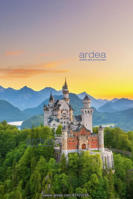  : Neuschwanstein Castle, near Fassen, Ostallgcu, Allgcu