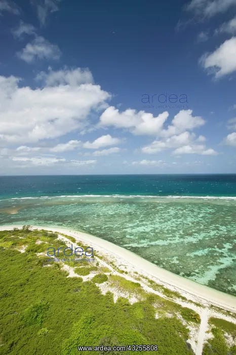 : New Caledonia, Amedee Islet. Amedee Islet : New Caledonia, Amedee Islet. Amedee Islet