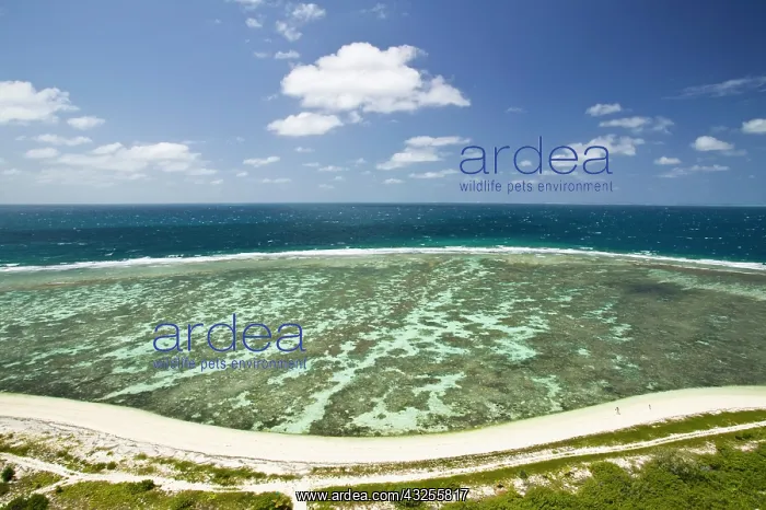  : New Caledonia, Amedee Islet. Amedee Islet