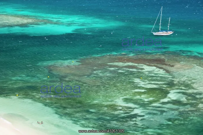 : New Caledonia, Amedee Islet. Amedee Islet