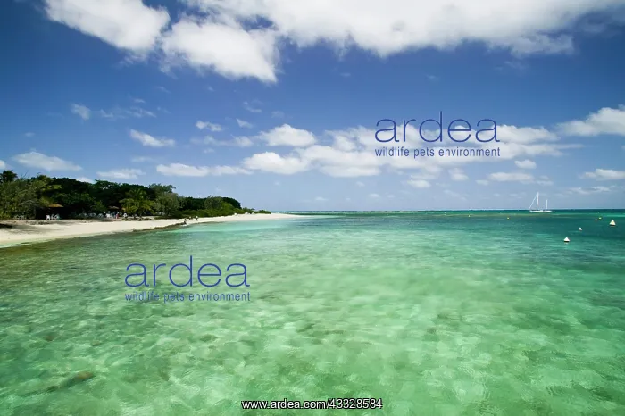: New Caledonia, Amedee Islet. Tropical water : New Caledonia, Amedee Islet. Tropical water