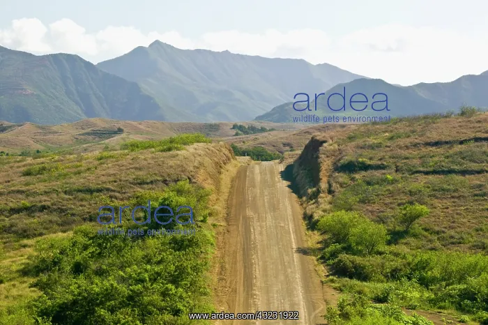 : New Caledonia, Central Grande Terre Island : New Caledonia, Central Grande Terre Island