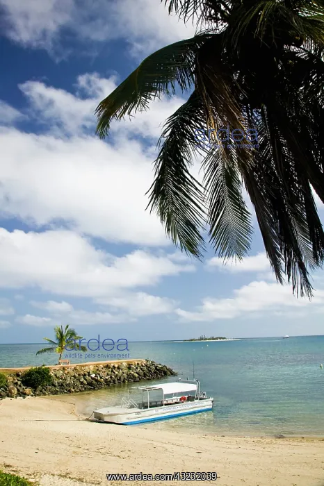 : New Caledonia, Grande Terre Island, Noumea : New Caledonia, Grande Terre Island, Noumea