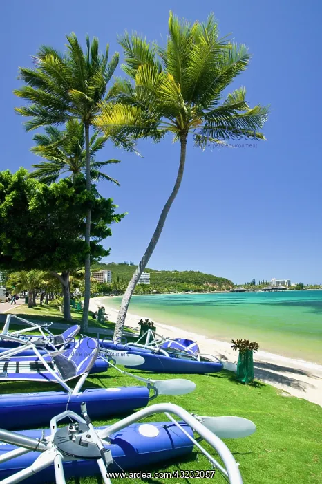 : New Caledonia, Grande Terre Island, Noumea : New Caledonia, Grande Terre Island, Noumea