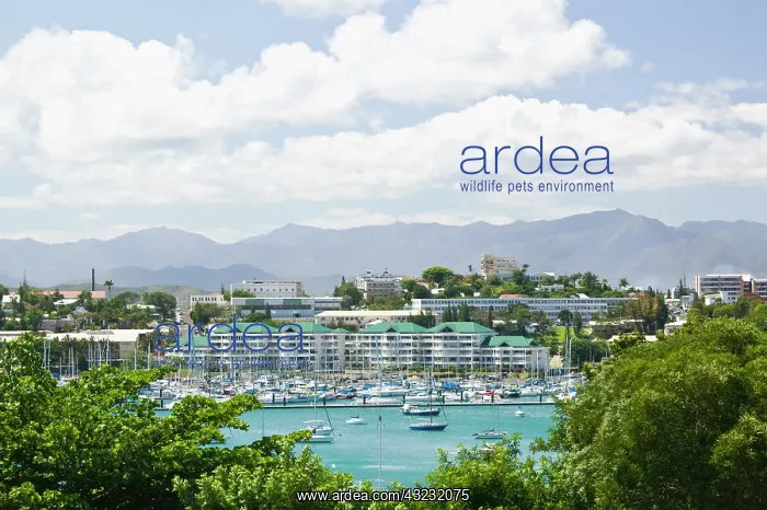 : New Caledonia, Grande Terre Island, Noumea : New Caledonia, Grande Terre Island, Noumea