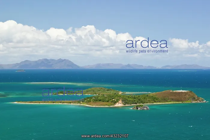 : New Caledonia, Grande Terre Island, Noumea : New Caledonia, Grande Terre Island, Noumea