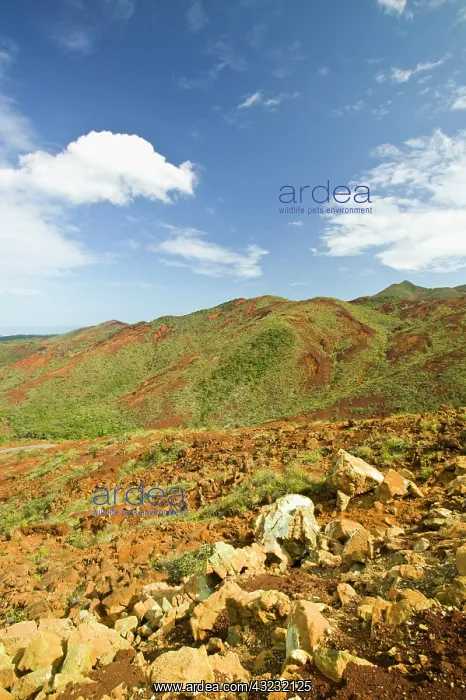 : New Caledonia, Grande Terre Island, Southern : New Caledonia, Grande Terre Island, Southern