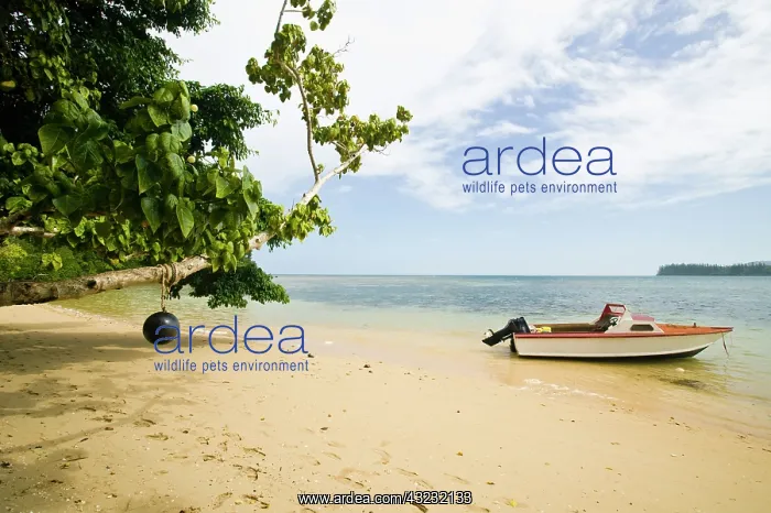 : New Caledonia, Grande Terre Island, Southern : New Caledonia, Grande Terre Island, Southern