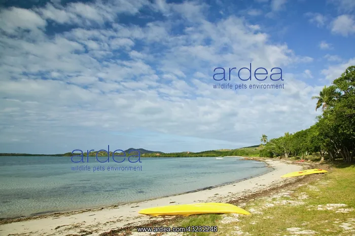 : New Caledonia, North-West Grande Terre Island : New Caledonia, North-West Grande Terre Island