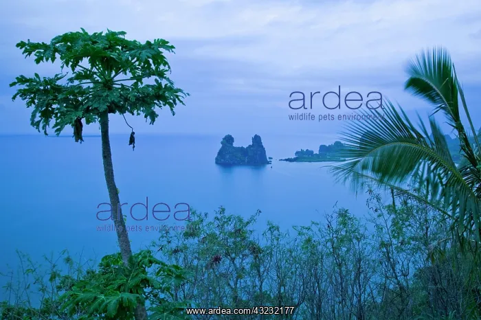  : New Caledonia, Northern Grande Terre Island
