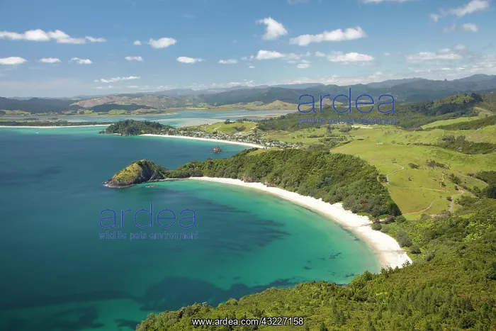 : New Chums Beach, and Motuto Point, Coromandel : New Chums Beach, and Motuto Point, Coromandel