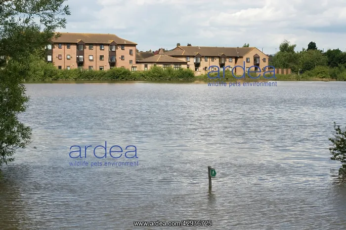 : New houses built on flood plain with submerged footpath sign : New houses built on flood plain with submerged footpath sign