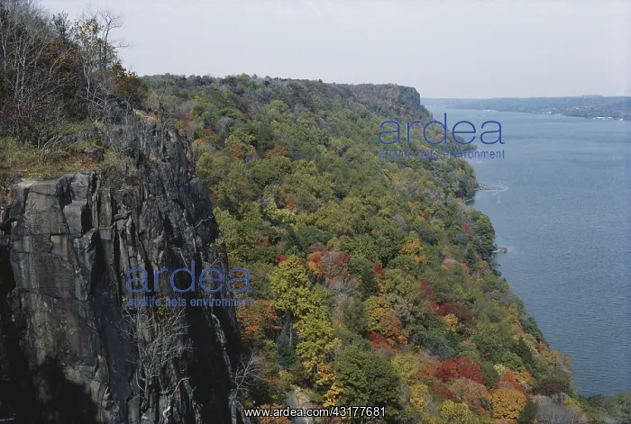 : New Jersey Palisades : New Jersey Palisades