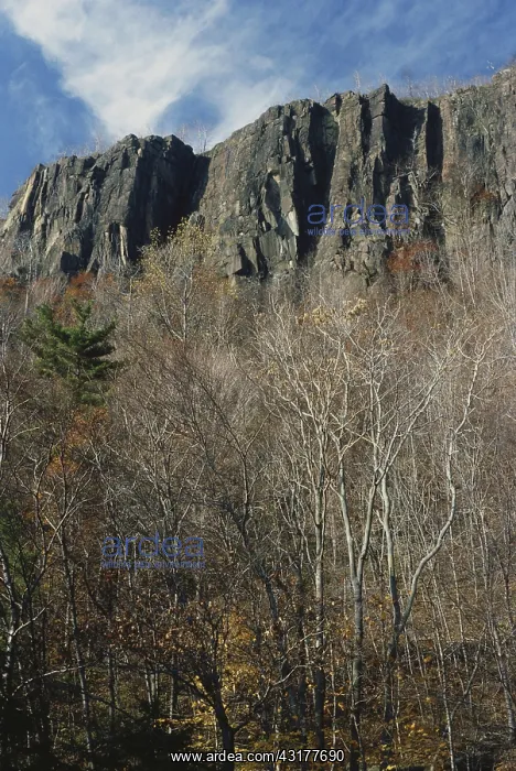  : New Jersey Palisades