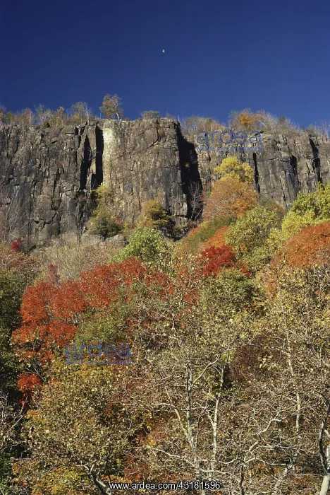 : New Jersey Palisades : New Jersey Palisades