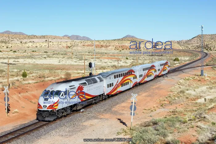 : New Mexico Rail Runner Express regional train railway : New Mexico Rail Runner Express regional train railway