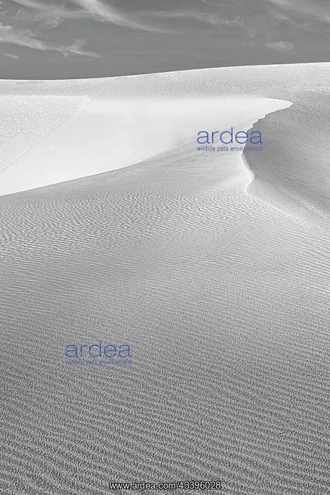: New Mexico's White Sands National Park : New Mexico's White Sands National Park