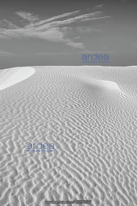 : New Mexico's White Sands National Park : New Mexico's White Sands National Park