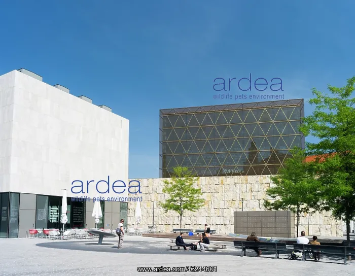 : New Ohel Jakob Synagogue, part of the Jewish : New Ohel Jakob Synagogue, part of the Jewish