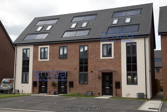 : New red brick houses all with solar black PV panels : New red brick houses all with solar black PV panels