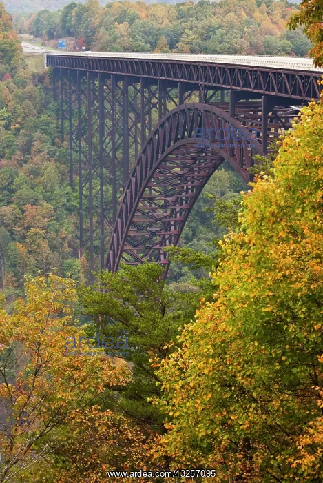: New River Gorge Bridge, New River Gorge : New River Gorge Bridge, New River Gorge