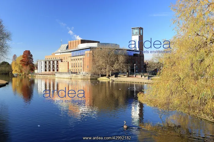 : The New Royal Shakespeare Theatre : The New Royal Shakespeare Theatre