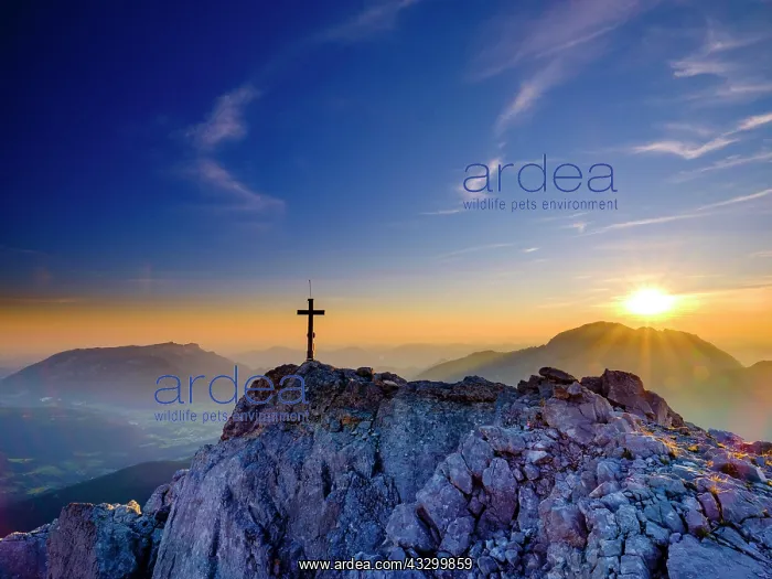: New summit cross of the Kleiner Watzmann at sunrise : New summit cross of the Kleiner Watzmann at sunrise