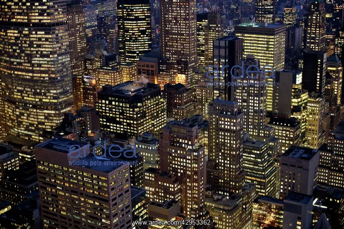 : New York City - Manhattan - at night from 30 Rockefeller : New York City - Manhattan - at night from 30 Rockefeller