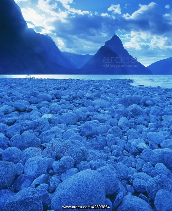 : New Zealand : New Zealand