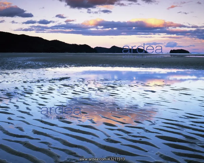: New Zealand, Abel Tasman National Park : New Zealand, Abel Tasman National Park