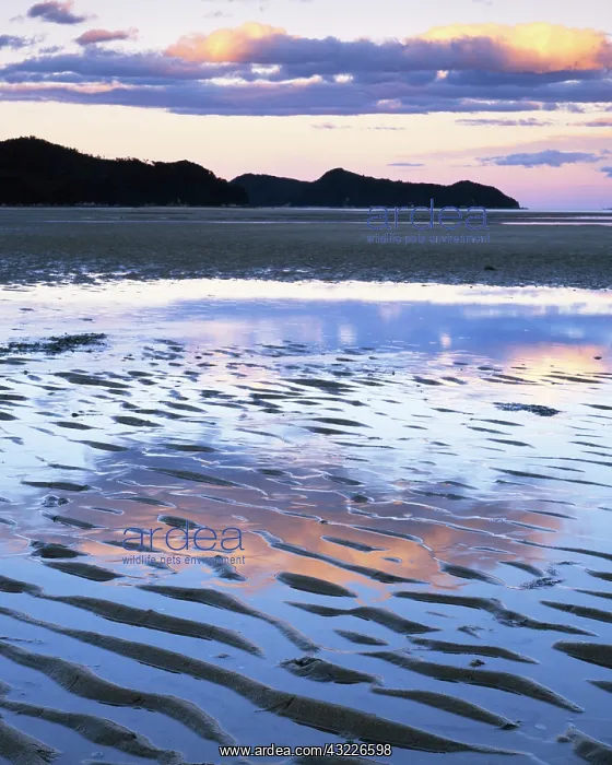 : New Zealand, Abel Tasman National Park : New Zealand, Abel Tasman National Park