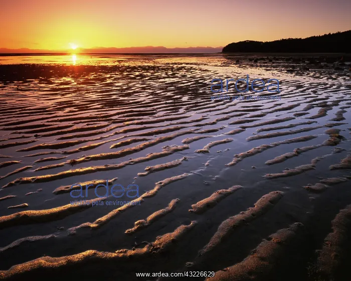 : New Zealand, Abel Tasman National Park : New Zealand, Abel Tasman National Park