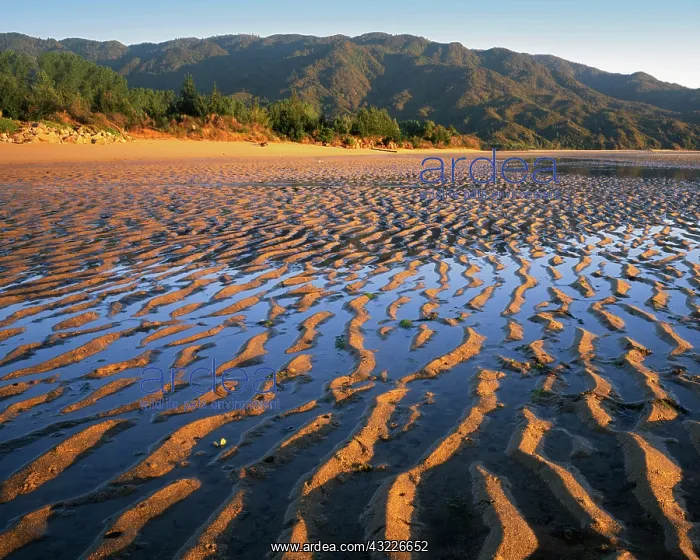 : New Zealand, Abel Tasman National Park : New Zealand, Abel Tasman National Park