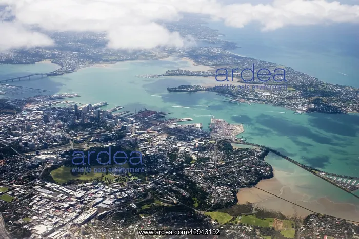 : New Zealand - aerial view of Auckland including : New Zealand - aerial view of Auckland including