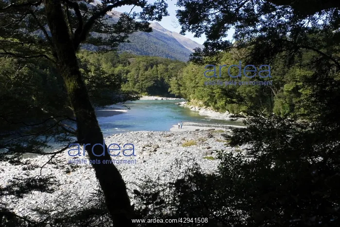  : New Zealand - Blue Pools on Haast River at Blue Pools