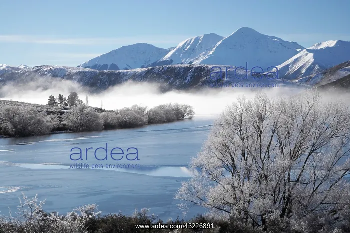 : New Zealand, Canterbury, Hoar Frost and : New Zealand, Canterbury, Hoar Frost and