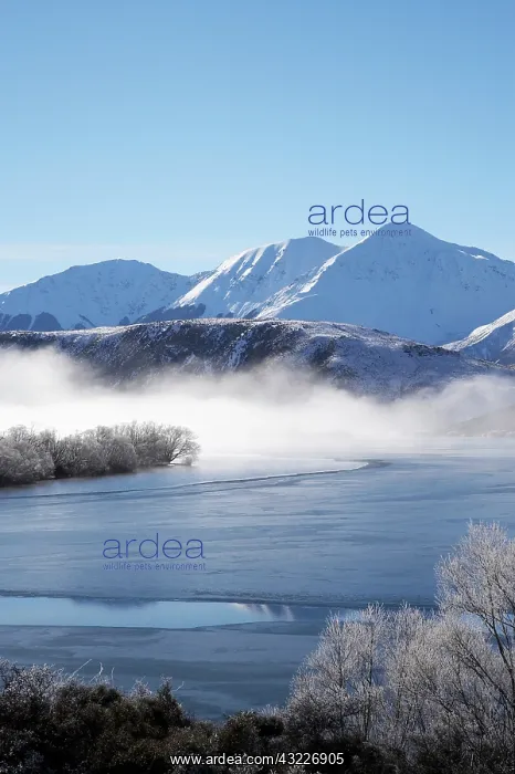: New Zealand, Canterbury, Hoar Frost and : New Zealand, Canterbury, Hoar Frost and