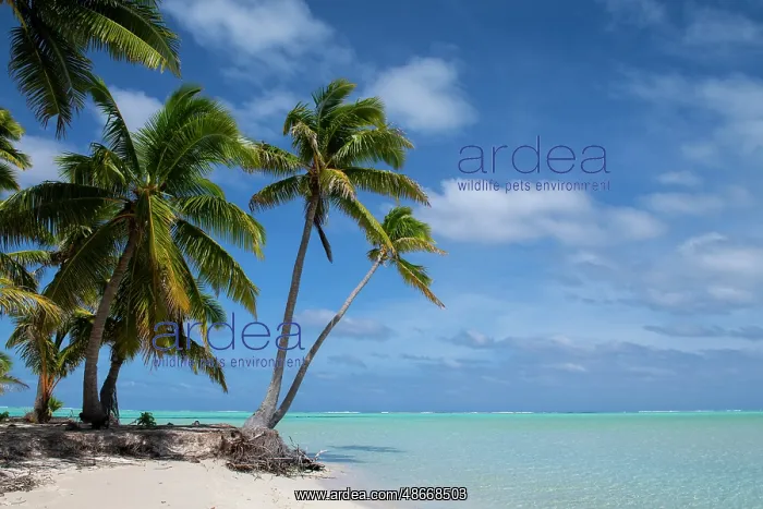 : New Zealand, Cook Islands, Aitutaki, One Foot Island : New Zealand, Cook Islands, Aitutaki, One Foot Island